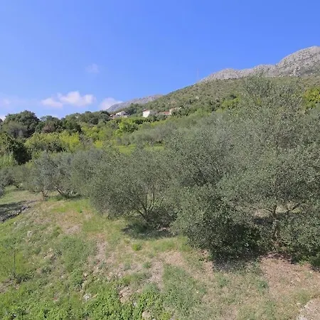 Olive Tree House Mokošica